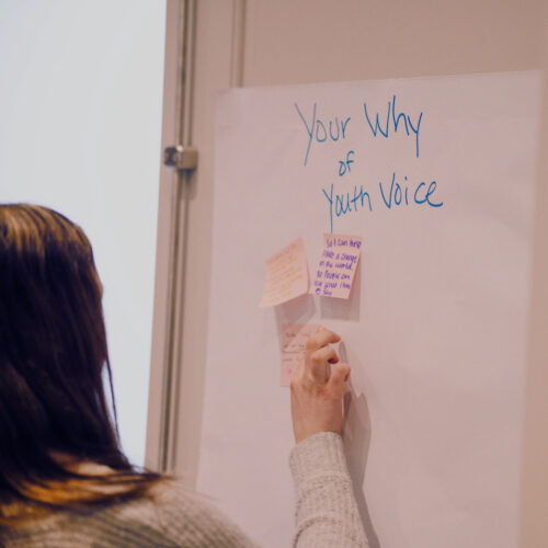 Youth Voice National Youth Leadership Council